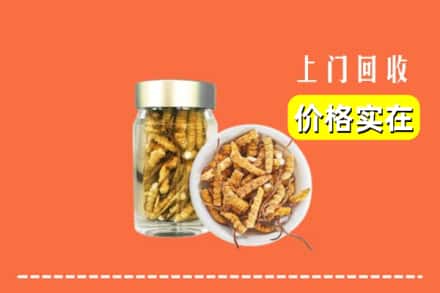 重庆市巫山回收散虫草
