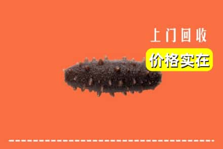 重庆市巫山回收海参