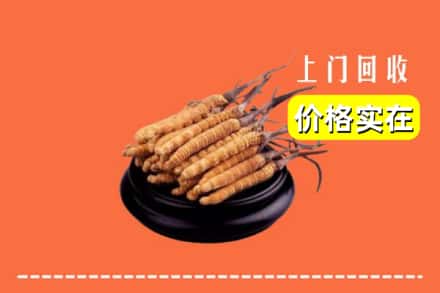 重庆市巫山回收冬虫夏草